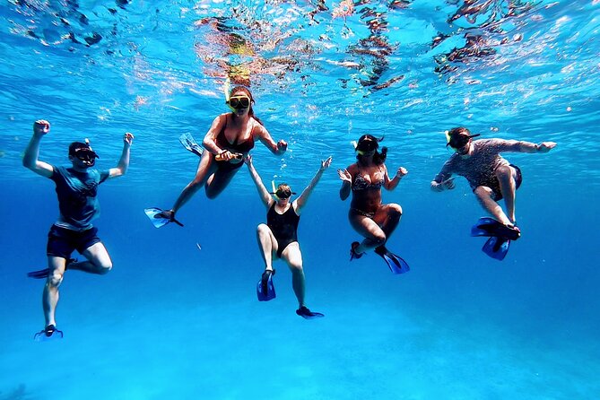 El Cielo Cozumel Snorkeling tour by Private Boat - Food and drinks: fresh ceviche plus a relaxed in-water vibe