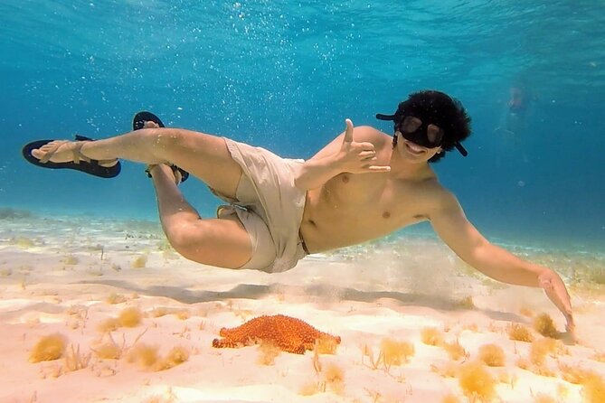 El Cielo Cozumel Snorkeling tour by Private Boat - Getting to the marina from cruise ports without losing your day