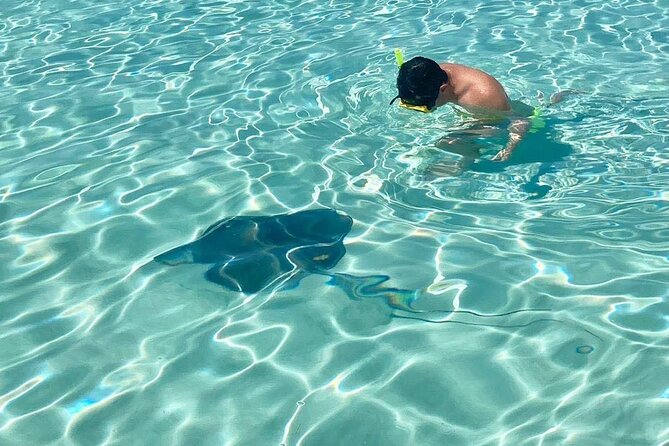 El Cielo Cozumel Snorkeling tour by Private Boat - Price and value: $789 for up to 7 people