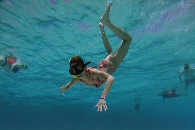 El Cielo Cozumel Snorkeling trip by Catamaran - Chankanaab Adventure Beach Park and Turtle Bay: The Break Between Swims