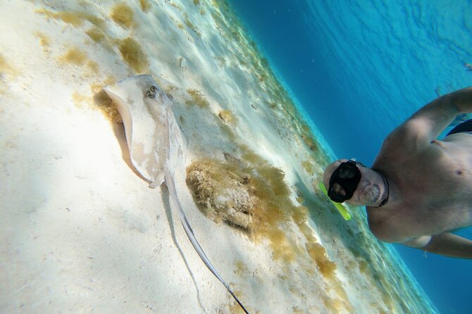El Cielo Cozumel Snorkeling trip by Catamaran - Onboard Ceviche, Drinks, and the Snack Break That Actually Helps