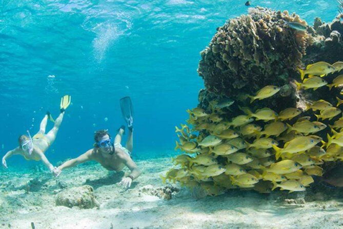 El Cielo Palancar and Columbia Snorkeling Tour - What to Pack: Small Changes That Make Snorkeling Easier