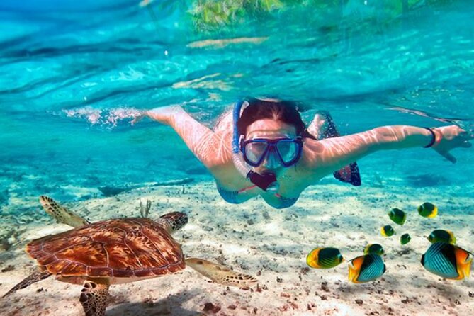 El Cielo Palancar and Columbia Snorkeling Tour - Choppy Water Reality Check: Comfort Is Part of the Experience