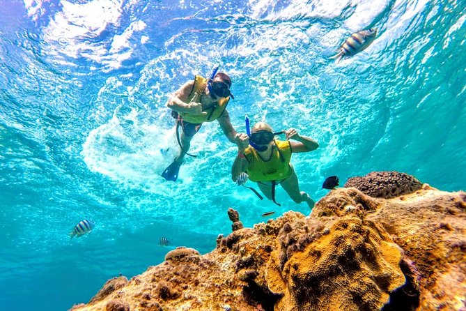 El Cielo Snorkel by Private Boat - What actually happens on board: crew, gear, and staying in sync