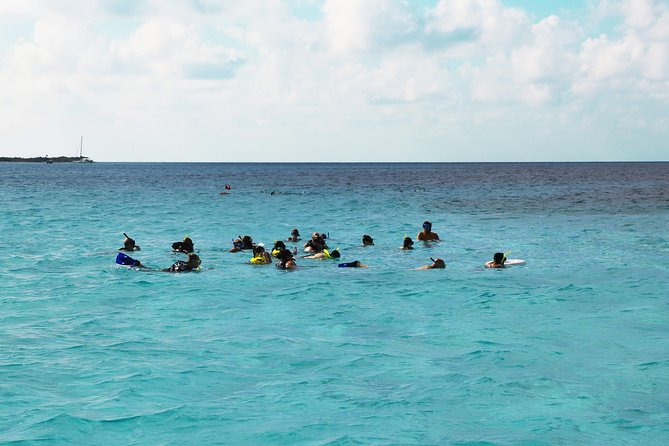 El Cielo Snorkel by Private Boat - The food and drinks: ceviche, fruit, and margaritas with your reef view