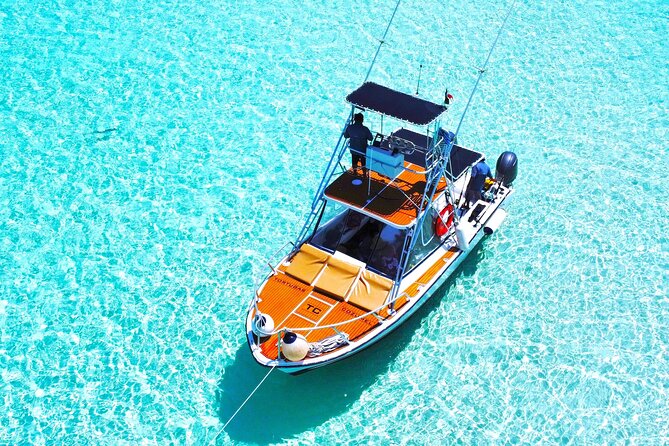 El Cielo Snorkel by Private Boat - Price and value: when $499.99 per group is a bargain