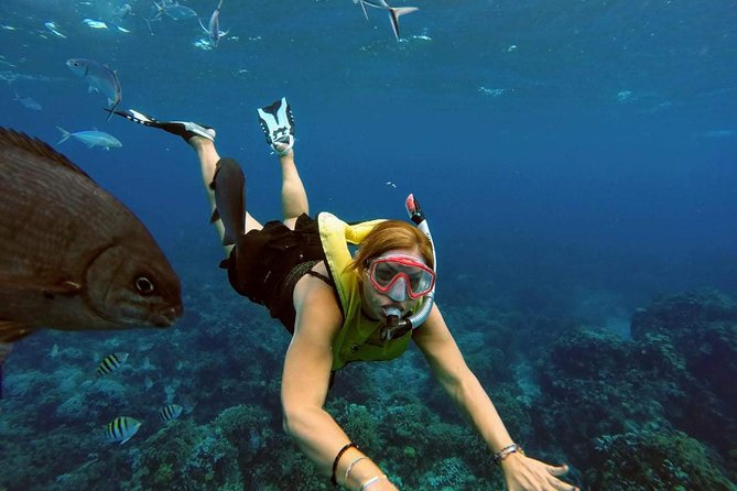 El Cielo Snorkel by Private Boat - Transportation and timing: arriving at Tortugas Snorkel Center