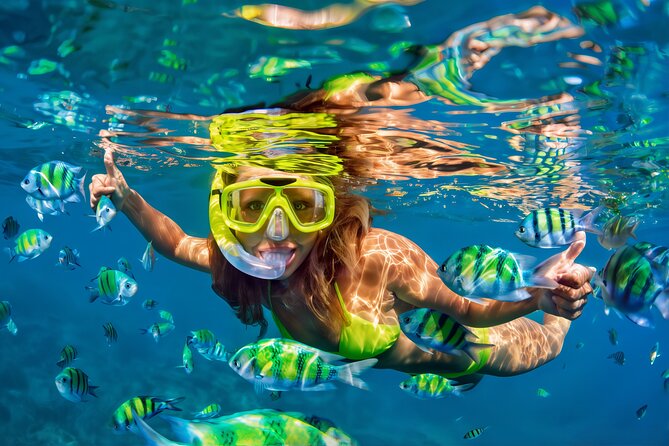 El Cielo Snorkeling Adventure in Cozumel - Key highlights at a glance