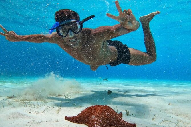 El Cielo Snorkeling Adventure in Cozumel - What you’ll eat and drink (and why it’s part of the value)