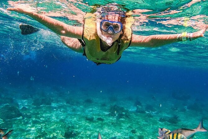 El Cielo Snorkeling Adventure in Cozumel - Who should book this Cozumel snorkeling adventure
