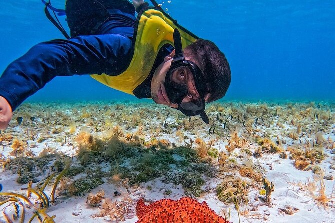 El Cielo Snorkeling Adventure in Cozumel - The boat experience: crew vibe matters more than you think