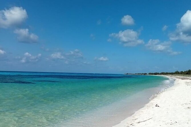 Electric Island Tour with Snorkeling, Lunch & Otoch Mayan Experience - Stop 2: Playa Publica San Martin and Lunch by the Sea