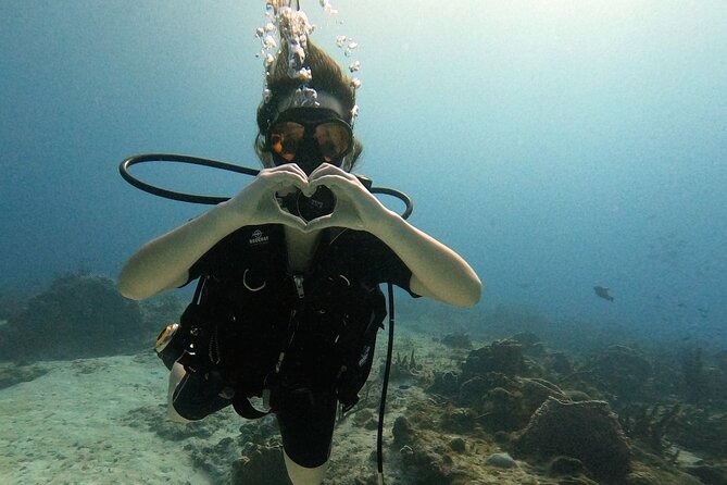 Enjoy two dives without previous experience with a boat trip - Key highlights worth your attention