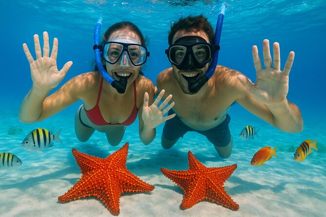 Exploration to El Cielo and Reefs: Live up close with stars - Key Highlights (Quick Read)