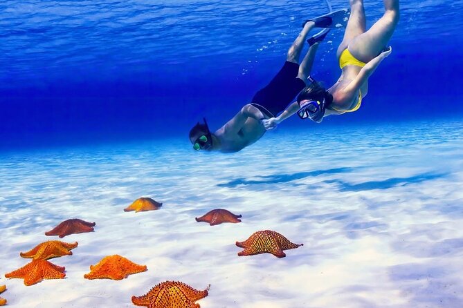 Exploration to El Cielo and Reefs: Live up close with stars - The Reef Route You’re Actually Getting in Cozumel