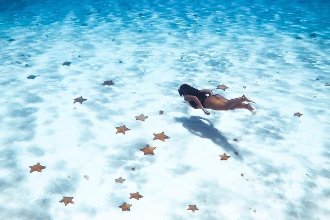 Exploration to El Cielo and Reefs: Live up close with stars - Palancar Reef: Sea Turtles and Reef Scenery