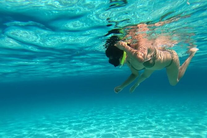Exploration to El Cielo and Reefs: Live up close with stars - El Cielo Cozumel: Starfish Sandbank and Manta Ray Time