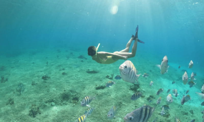 Explore the sea of cozumel in a transprent boat with drinks and snorkel. - Drinks onboard and what you should expect from the guide