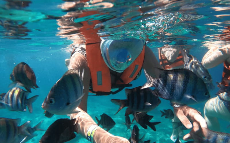 Explore the sea of cozumel in a transprent boat with drinks and snorkel. - What to bring (and what not to bring) for Cozumel water time