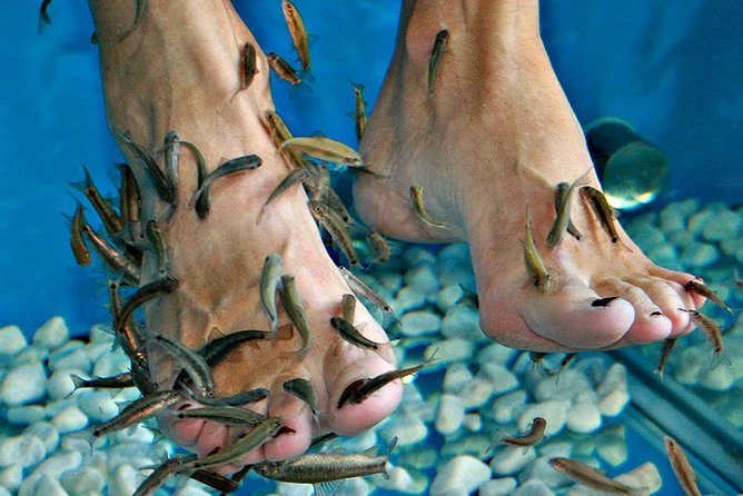 Fish Spa, Beach Break with Lounge Chairs, Umbrellas & Beach Area - What this Fish Spa + Beach Break feels like