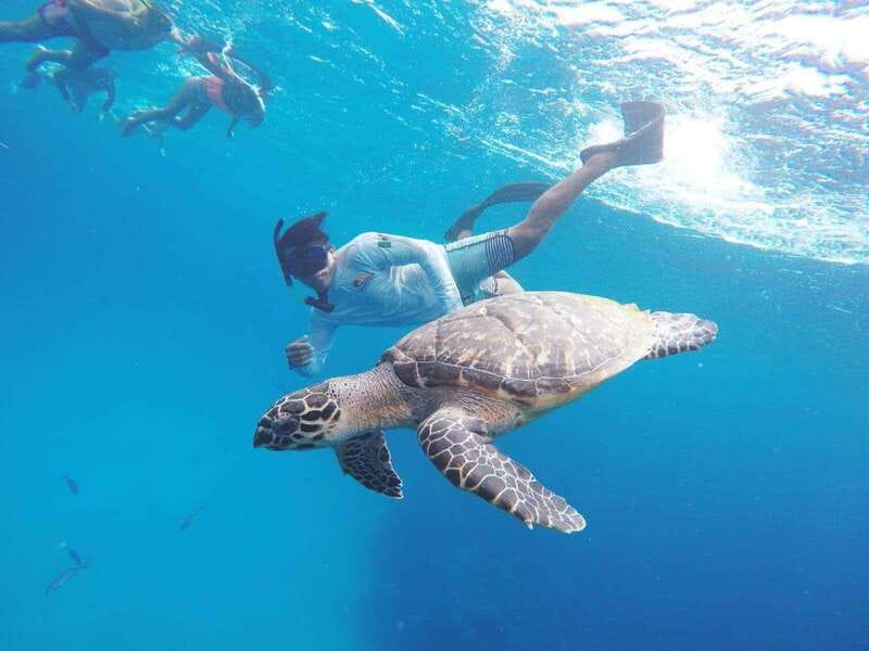 From Cozumel: 3 Reefs Boat Tour with Drinks and Snorkeling - The boat setup: shaded, insured, and good for everyone