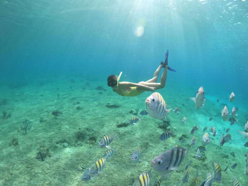 From Cozumel: 3 Reefs Boat Tour with Drinks and Snorkeling - Palancar Reef: deeper water for bigger creatures