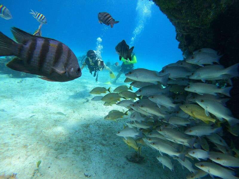 From Cozumel: Chankanaab Cozumel Scuba Diving - Key highlights worth planning around