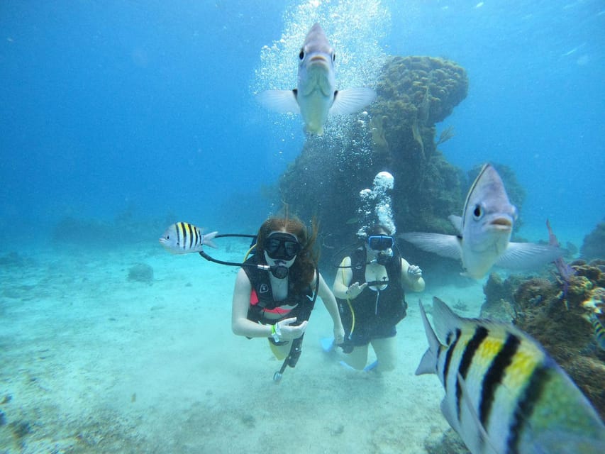 From Cozumel: Chankanaab Cozumel Scuba Diving - Who this works best for