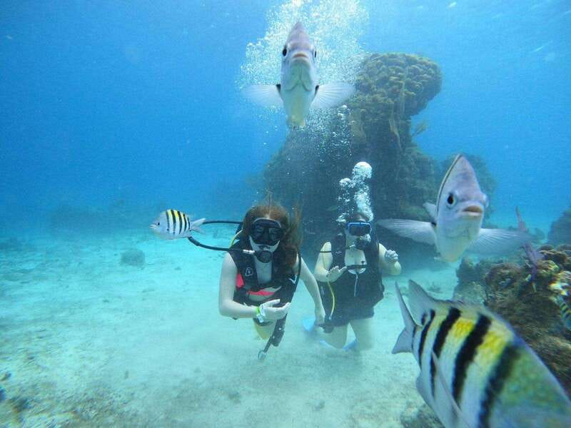 From Cozumel: Chankanaab Cozumel Scuba Diving - Logistics that make a difference on a cruise day