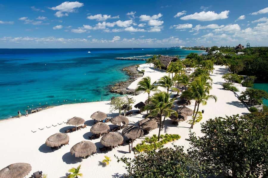 From Cozumel: Chankanaab Park Day pass with Open Bar & Lunch - What You Get From Chankanaab in a Tight Time Window