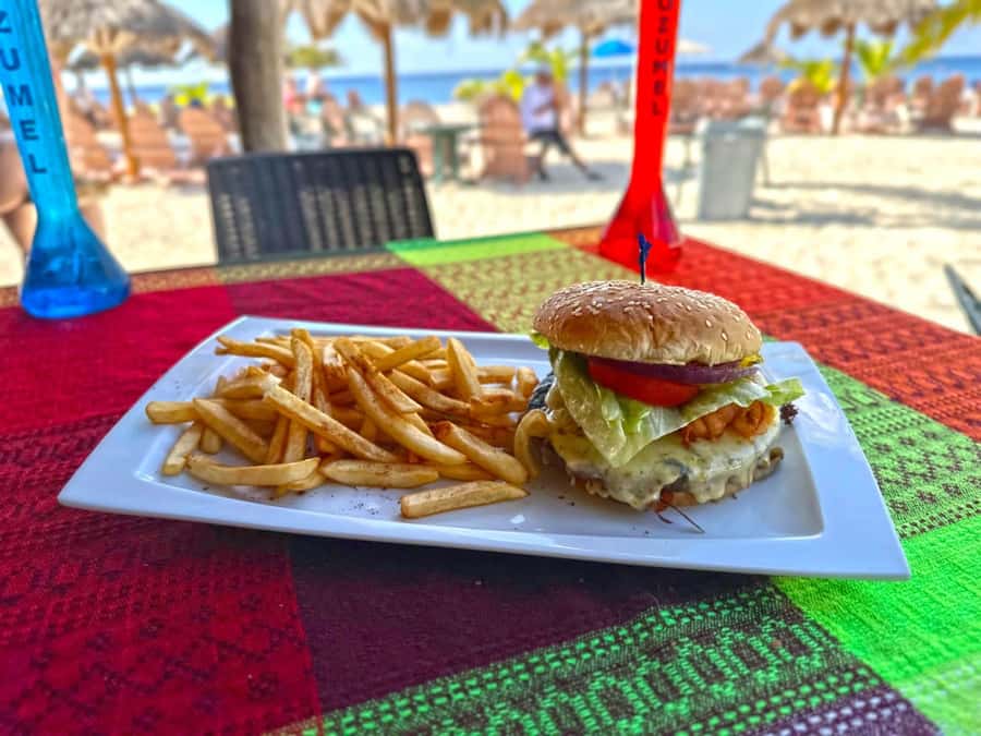 From Cozumel: Chankanaab Park Day pass with Open Bar & Lunch - Beach Time Isn’t a Blank-Sand Fantasy