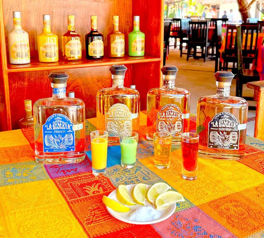 From Cozumel: Chankanaab Park Day pass with Open Bar & Lunch - Sea Lion Shows and Mayan Replicas: Wildlife and Culture Without the Bus Ride