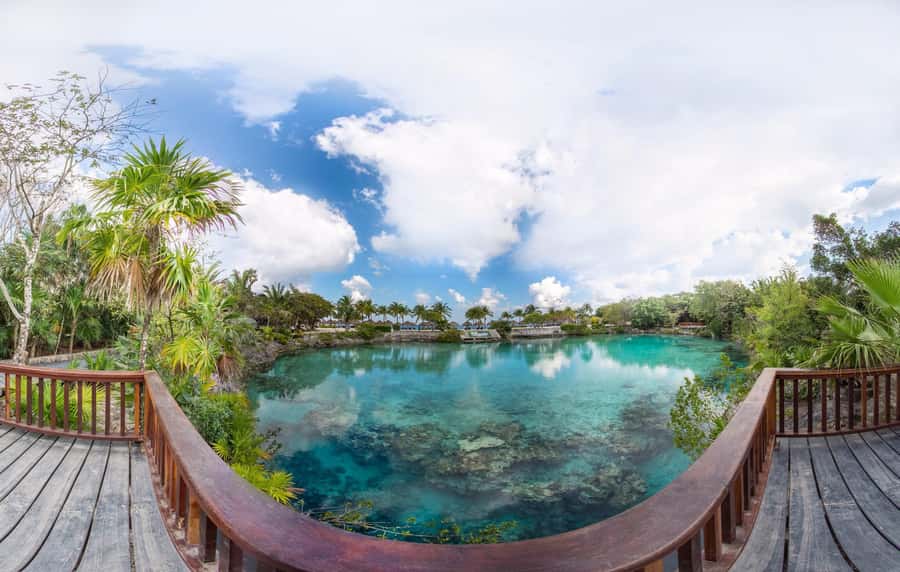 From Cozumel: Chankanaab Park Day pass with Open Bar & Lunch - Lunch by the Water: A La Carte, Beach Views, and Open-Bar Time