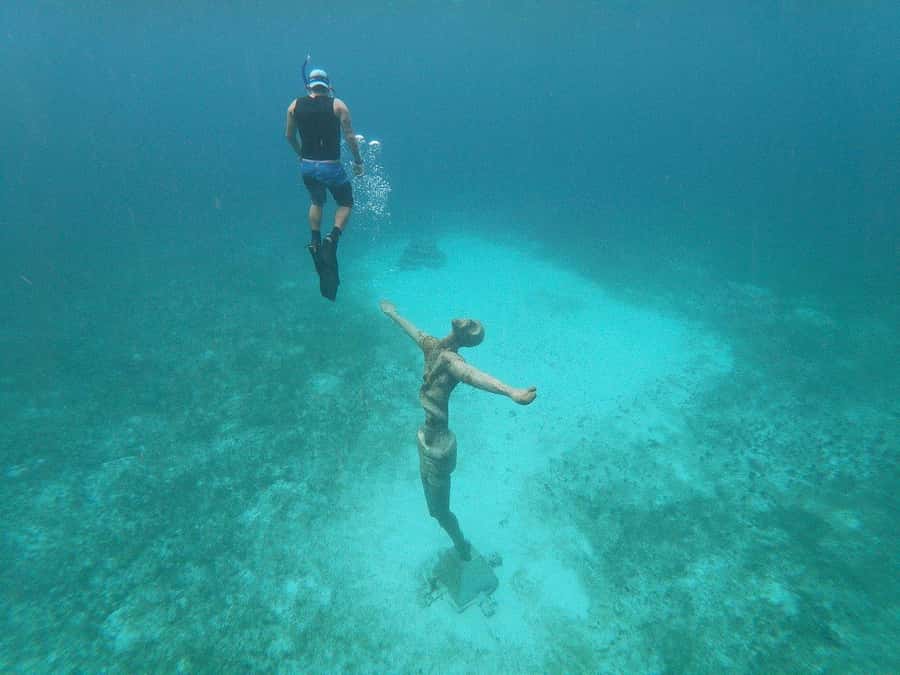 From Cozumel: Chankanaab Park Day pass with Open Bar & Lunch - Price and Value: The $77 Base Plus the Marine Fee
