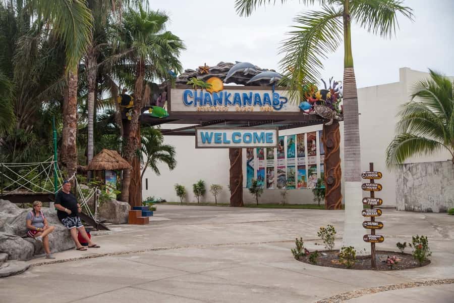From Cozumel: Chankanaab Park Day pass with Open Bar & Lunch - Getting Started Fast: Main Lobby Check-In and the MJ’s Setup