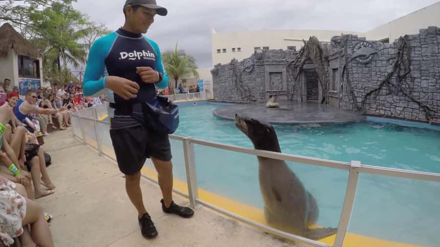From Cozumel: Chankanaab Park Day pass with Open Bar & Lunch - Snorkeling on Cozumel’s Reef: Gear, Safety Briefing, and What to Watch For