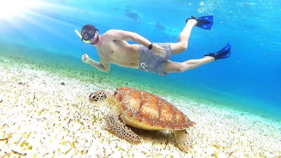 From Cozumel: El Cielo Beach by Catamaran Snorkeling Tour - Key highlights at a glance