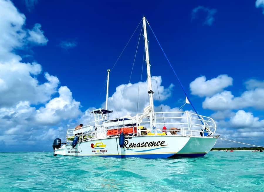 From Cozumel: El Cielo Beach by Catamaran Snorkeling Tour - Playa Palancar: a shorter first snorkeling taste (and why it’s smart)