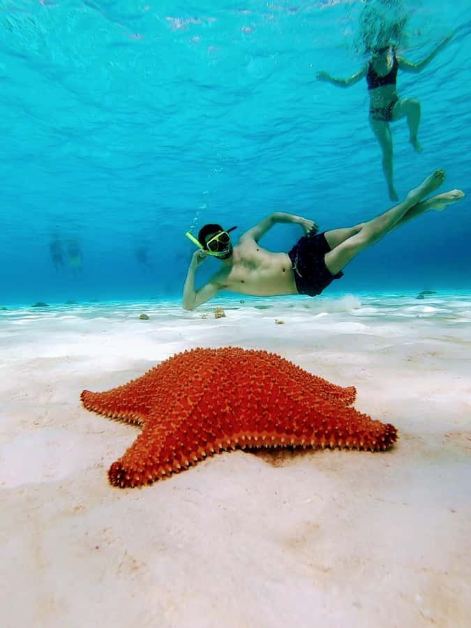 From Cozumel: El Cielo Beach by Catamaran Snorkeling Tour - Food, drinks, and what’s included for $81 (plus the $11 fee)