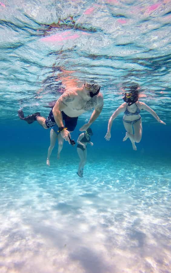 From Cozumel: El Cielo Beach by Catamaran Snorkeling Tour - Should you book El Cielo Beach by Catamaran Snorkeling Tour?