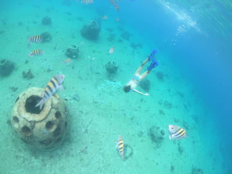 From Cozumel: Invisible Boat Snorkeling Tour - Logistics that can make or break your day