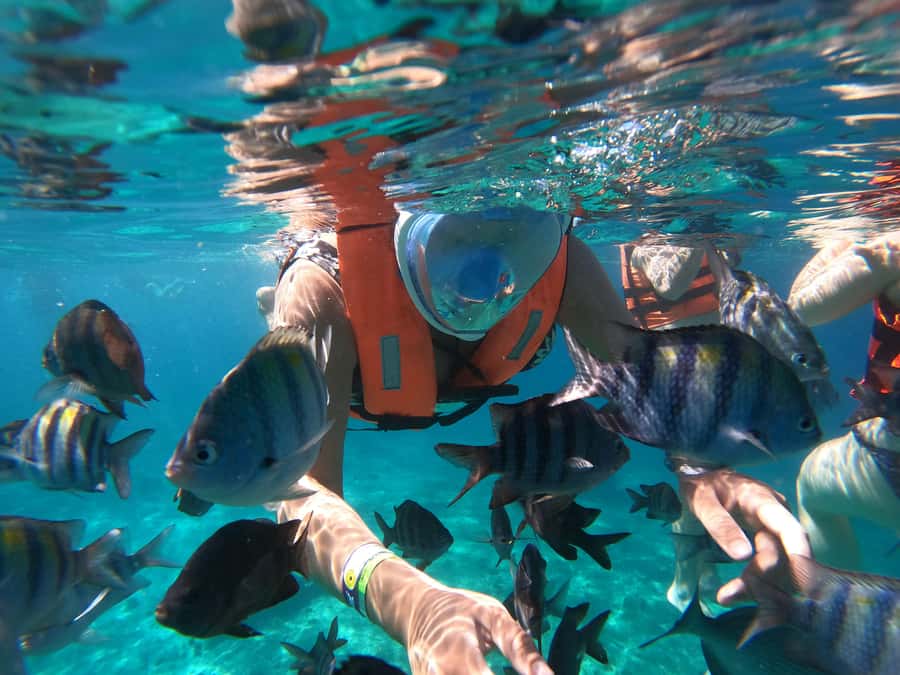 From Cozumel: Invisible Boat Snorkeling Tour - Getting on the clear boat: fun view, real-world boarding