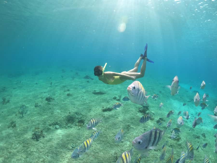 From Cozumel: Invisible Boat Snorkeling Tour - Who’s this best for (and who should skip it)