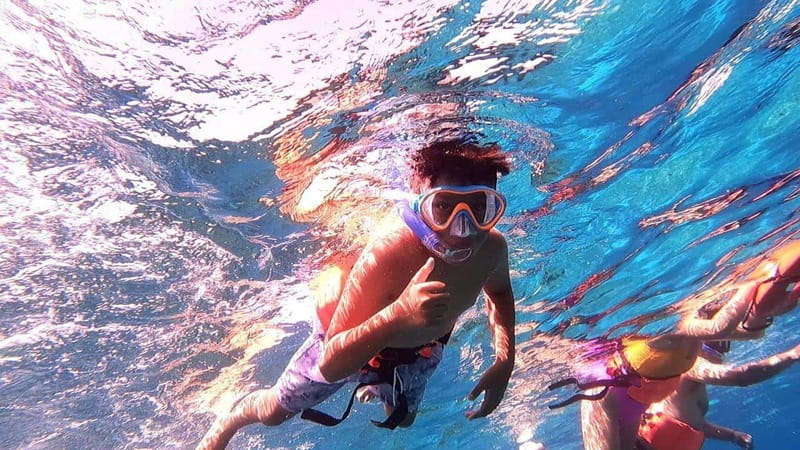 From Cozumel: Official Chankanaab Park Day Pass and Snorkel - Key things to know before you go