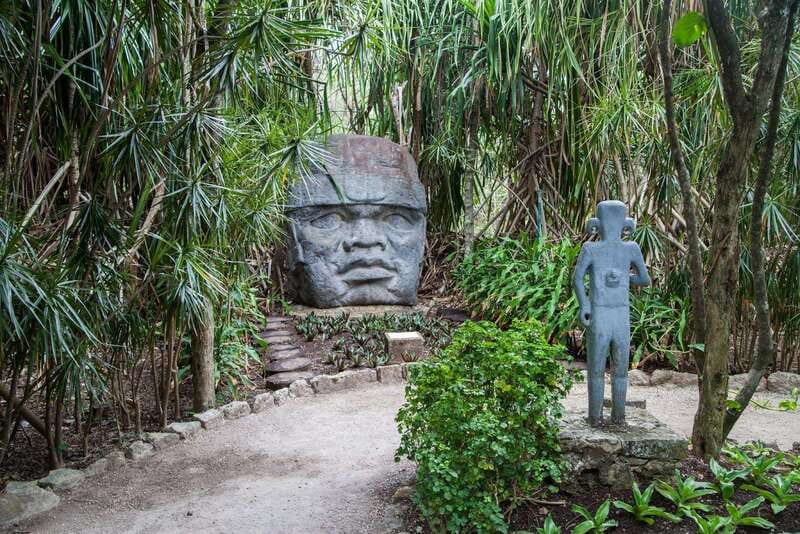 From Cozumel: Official Chankanaab Park Day Pass and Snorkel - Snorkeling in a natural lagoon and cove (with gear already handled)