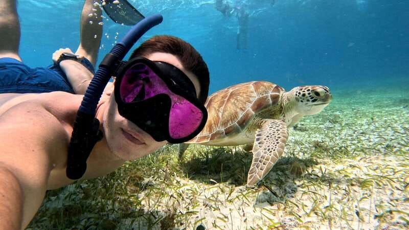 From Cozumel: Snorkel Private Charter to el Cielo & Cielito - Starting at Cha Cha Cha: what the 4-hour flow feels like