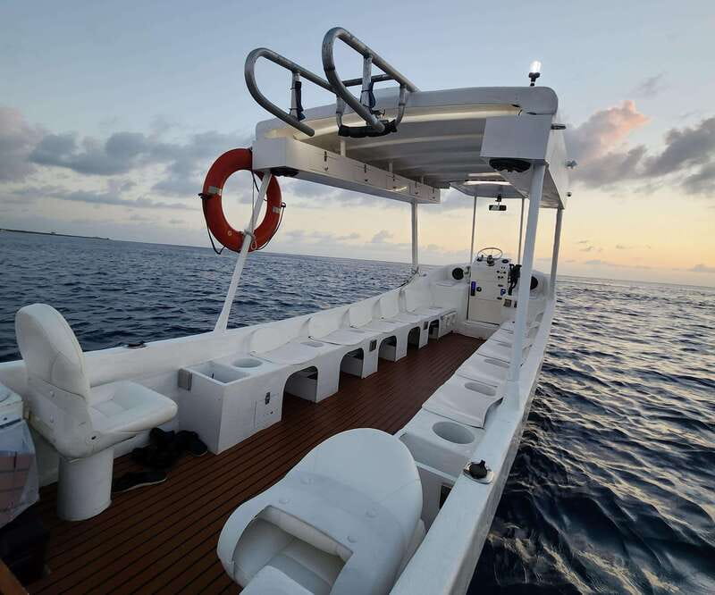 From Cozumel: Snorkel Private Charter to el Cielo & Cielito - Playa El Cielo: starfish, sea turtles, and the clearest water moments
