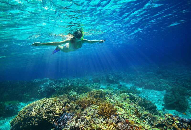 From Cozumel: Snorkel Private Charter to el Cielo & Cielito - El Cielito stingrays: how to enjoy rays without touching