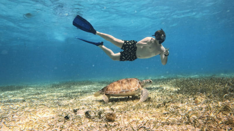 From Cozumel: Snorkel Private Charter to el Cielo & Cielito - Who this tour fits best (and who should skip it)