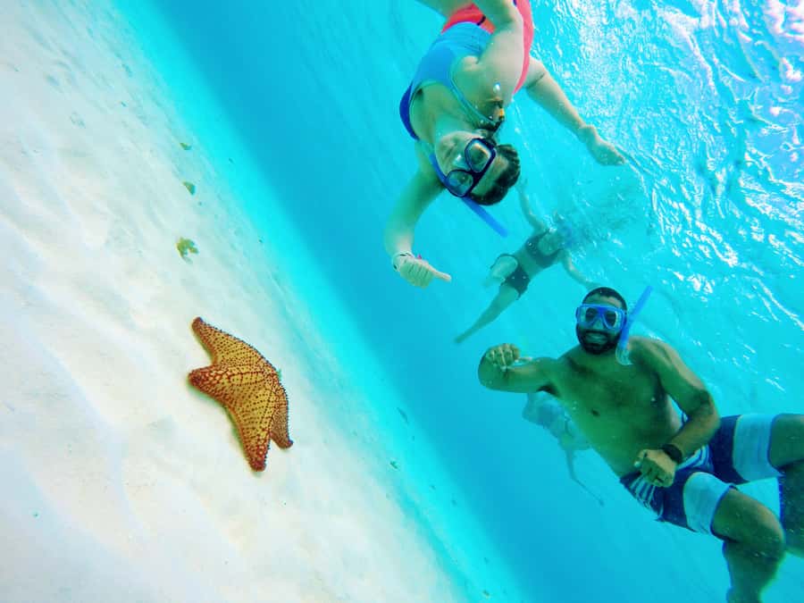 From Cozumel: Starfish, Stingrays and the Turtle Sanctuary - First stop: reef time near Palancar (fish you can actually see)